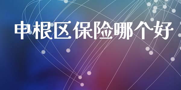 申根区保险哪个好_https://m.jnlaobingbanjia.com_基金市场_第1张