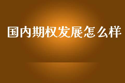 国内期权发展怎么样_https://m.jnlaobingbanjia.com_区块链_第1张