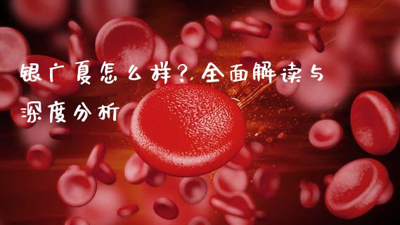 银广夏怎么样？全面解读与深度分析_https://m.jnlaobingbanjia.com_股市新闻_第1张