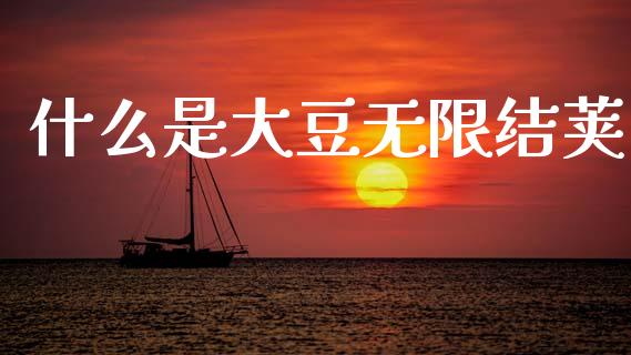 什么是大豆无限结荚_https://m.jnlaobingbanjia.com_股市新闻_第1张