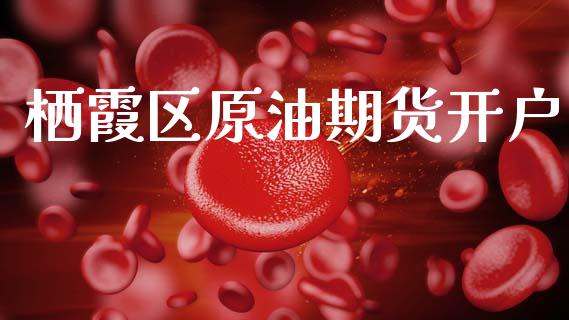 栖霞区原油期货开户_https://m.jnlaobingbanjia.com_金融监管_第1张