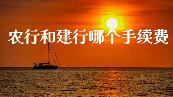 农行和建行哪个手续费_https://m.jnlaobingbanjia.com_全球市场_第1张