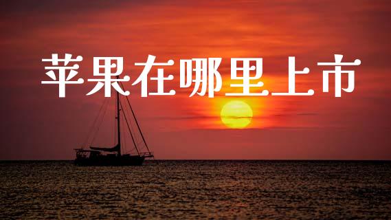 苹果在哪里上市_https://m.jnlaobingbanjia.com_金融监管_第1张