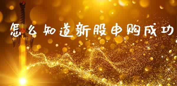 怎么知道新股申购成功_https://m.jnlaobingbanjia.com_理财规划_第1张