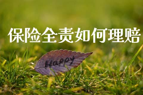 保险全责如何理赔_https://m.jnlaobingbanjia.com_全球市场_第1张