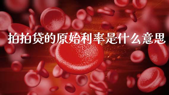 拍拍贷的原始利率是什么意思_https://m.jnlaobingbanjia.com_理财规划_第1张