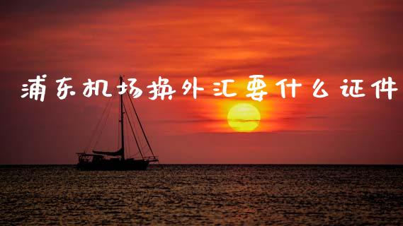 浦东机场换外汇要什么证件_https://m.jnlaobingbanjia.com_区块链_第1张