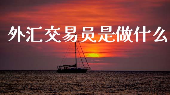 外汇交易员是做什么_https://m.jnlaobingbanjia.com_区块链_第1张