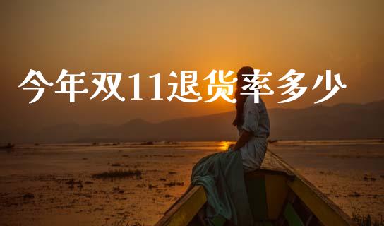 今年双11退货率多少_https://m.jnlaobingbanjia.com_基金市场_第1张