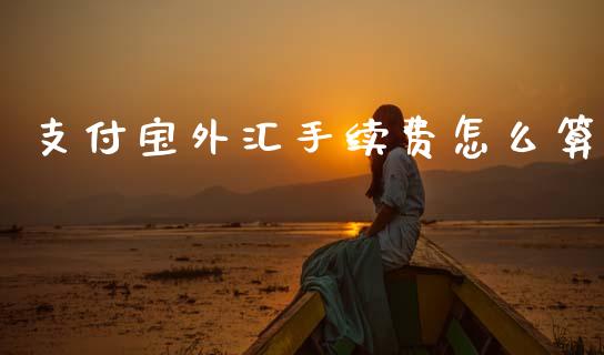 支付宝外汇手续费怎么算_https://m.jnlaobingbanjia.com_全球市场_第1张
