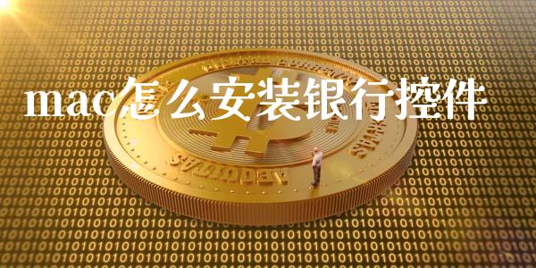 mac怎么安装银行控件_https://m.jnlaobingbanjia.com_理财规划_第1张