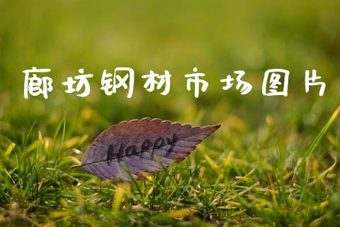 廊坊钢材市场图片_https://m.jnlaobingbanjia.com_金融监管_第1张