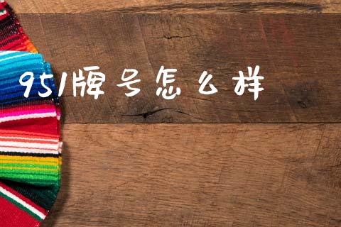 951牌号怎么样_金融监管_第1张_全球市场_股市新闻_理财规划_金融监管_区块链_基金市场 951牌号怎么样_https://m.jnlaobingbanjia.com_金融监管_第1张