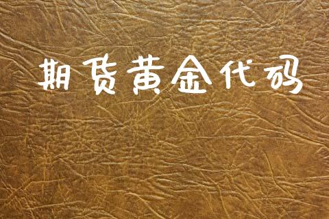 期货黄金代码_https://m.jnlaobingbanjia.com_股市新闻_第1张