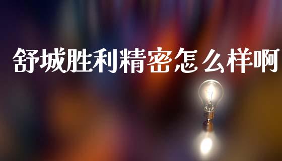 舒城胜利精密怎么样啊_https://m.jnlaobingbanjia.com_理财规划_第1张