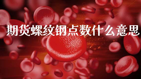 期货螺纹钢点数什么意思_https://m.jnlaobingbanjia.com_理财规划_第1张