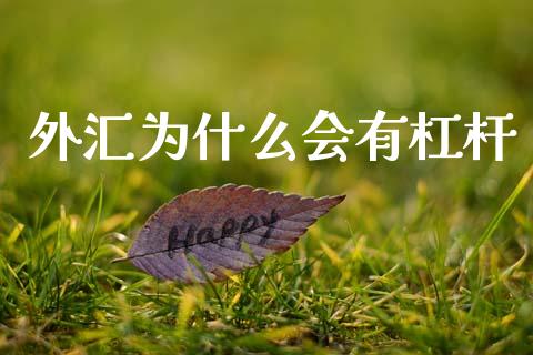 外汇为什么会有杠杆_https://m.jnlaobingbanjia.com_理财规划_第1张