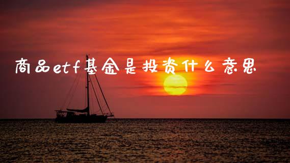 商品etf基金是投资什么意思_https://m.jnlaobingbanjia.com_区块链_第1张