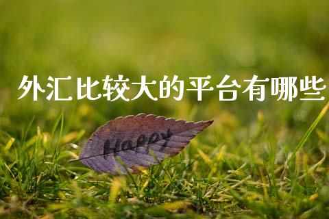 外汇比较大的平台有哪些_https://m.jnlaobingbanjia.com_全球市场_第1张