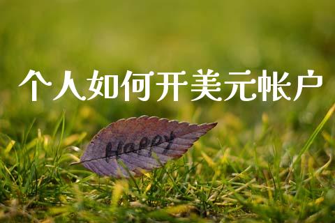 个人如何开美元帐户_https://m.jnlaobingbanjia.com_基金市场_第1张