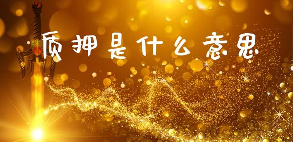 质押是什么意思_https://m.jnlaobingbanjia.com_全球市场_第1张