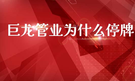 巨龙管业为什么停牌_https://m.jnlaobingbanjia.com_全球市场_第1张