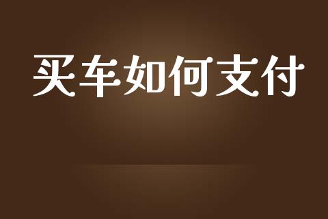 买车如何支付_https://m.jnlaobingbanjia.com_基金市场_第1张