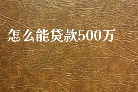 怎么能贷款500万_https://m.jnlaobingbanjia.com_基金市场_第1张