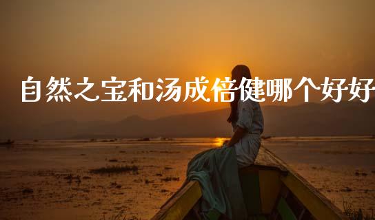 自然之宝和汤成倍健哪个好好_https://m.jnlaobingbanjia.com_基金市场_第1张