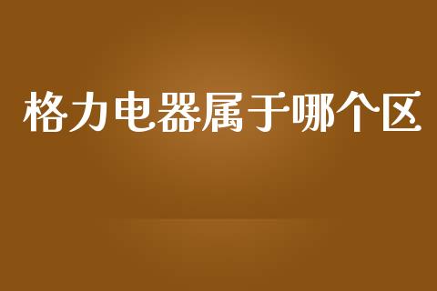 格力电器属于哪个区_https://m.jnlaobingbanjia.com_金融监管_第1张