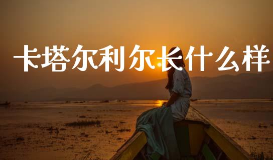 卡塔尔利尔长什么样_https://m.jnlaobingbanjia.com_区块链_第1张