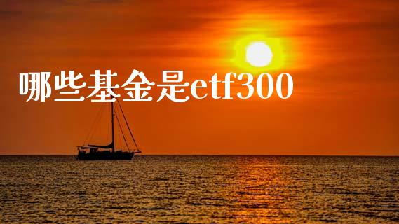 哪些基金是etf300_https://m.jnlaobingbanjia.com_股市新闻_第1张