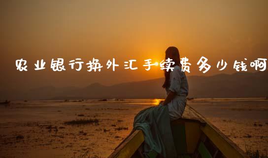 农业银行换外汇手续费多少钱啊_https://m.jnlaobingbanjia.com_基金市场_第1张