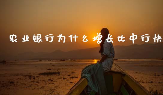 农业银行为什么增长比中行快_https://m.jnlaobingbanjia.com_区块链_第1张