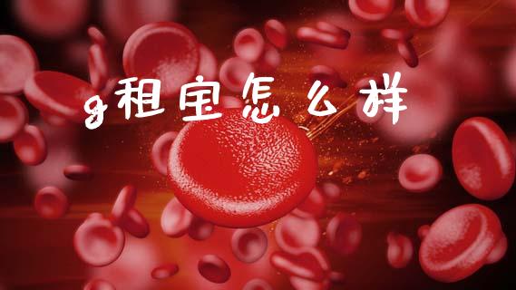 g租宝怎么样_https://m.jnlaobingbanjia.com_区块链_第1张