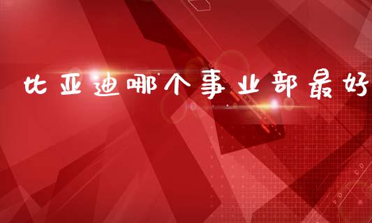 比亚迪哪个事业部最好_https://m.jnlaobingbanjia.com_理财规划_第1张