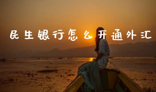 民生银行怎么开通外汇_https://m.jnlaobingbanjia.com_区块链_第1张