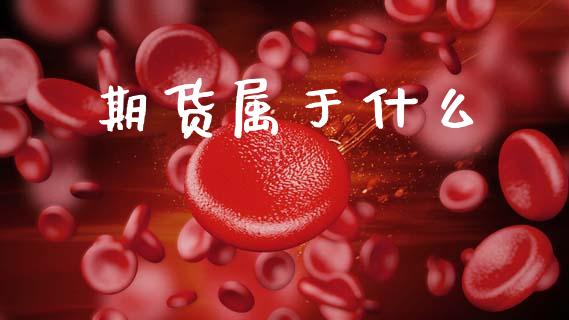 期货属于什么_https://m.jnlaobingbanjia.com_理财规划_第1张