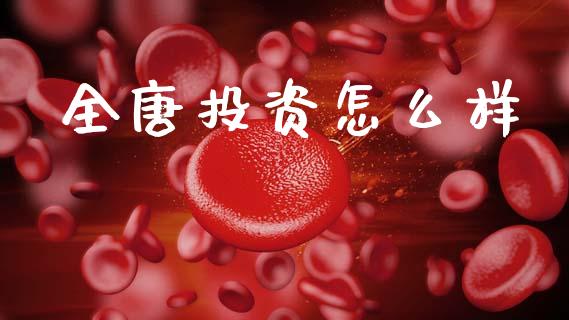 全唐投资怎么样_https://m.jnlaobingbanjia.com_区块链_第1张