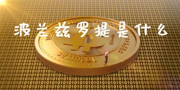 波兰兹罗提是什么_https://m.jnlaobingbanjia.com_基金市场_第1张