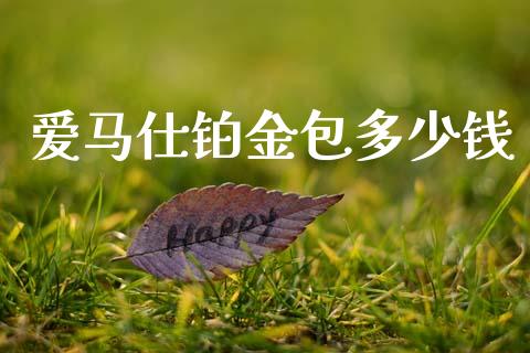 爱马仕铂金包多少钱_https://m.jnlaobingbanjia.com_全球市场_第1张