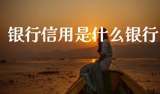银行信用是什么银行_https://m.jnlaobingbanjia.com_股市新闻_第1张