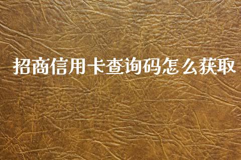 招商信用卡查询码怎么获取_https://m.jnlaobingbanjia.com_全球市场_第1张