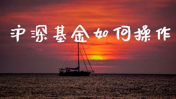 沪深基金如何操作_https://m.jnlaobingbanjia.com_金融监管_第1张