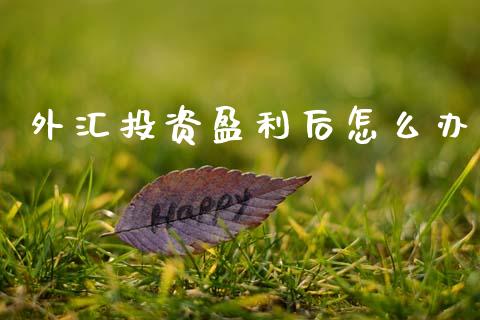 外汇投资盈利后怎么办_https://m.jnlaobingbanjia.com_区块链_第1张