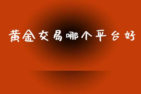 黄金交易哪个平台好_https://m.jnlaobingbanjia.com_全球市场_第1张