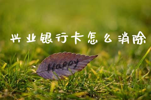 兴业银行卡怎么消除_https://m.jnlaobingbanjia.com_金融监管_第1张