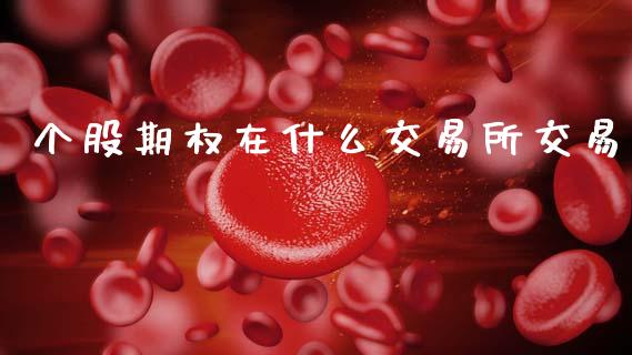 个股期权在什么交易所交易_https://m.jnlaobingbanjia.com_基金市场_第1张