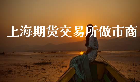 上海期货交易所做市商_https://m.jnlaobingbanjia.com_股市新闻_第1张