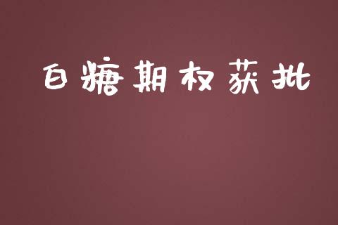 白糖期权获批_https://m.jnlaobingbanjia.com_区块链_第1张
